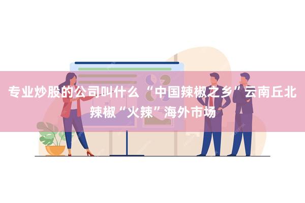 专业炒股的公司叫什么 “中国辣椒之乡”云南丘北辣椒“火辣”海外市场