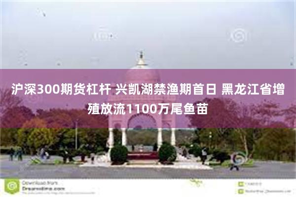 沪深300期货杠杆 兴凯湖禁渔期首日 黑龙江省增殖放流1100万尾鱼苗