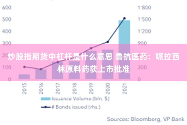 炒股指期货中杠杆是什么意思 鲁抗医药：哌拉西林原料药获上市批准