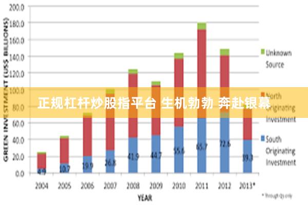 正规杠杆炒股指平台 生机勃勃 奔赴银幕