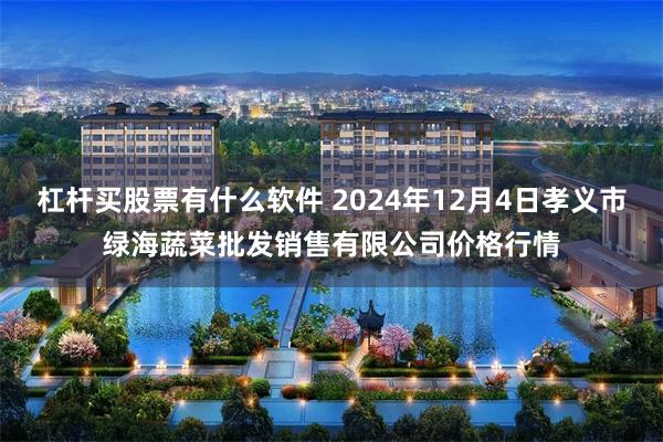 杠杆买股票有什么软件 2024年12月4日孝义市绿海蔬菜批发销售有限公司价格行情