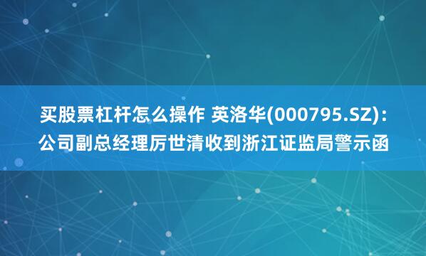 买股票杠杆怎么操作 英洛华(000795.SZ)：公司副总经理厉世清收到浙江证监局警示函