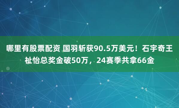 哪里有股票配资 国羽斩获90.5万美元！石宇奇王祉怡总奖金破50万，24赛季共拿66金