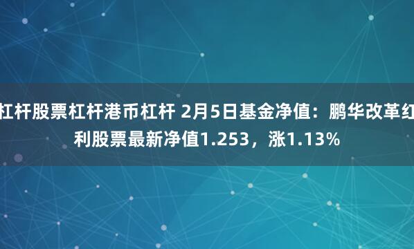 杠杆股票杠杆港币杠杆 2月5日基金净值：鹏华改革红利股票最新净值1.253，涨1.13%