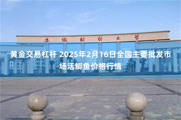 黄金交易杠杆 2025年2月16日全国主要批发市场活鲫鱼价格行情