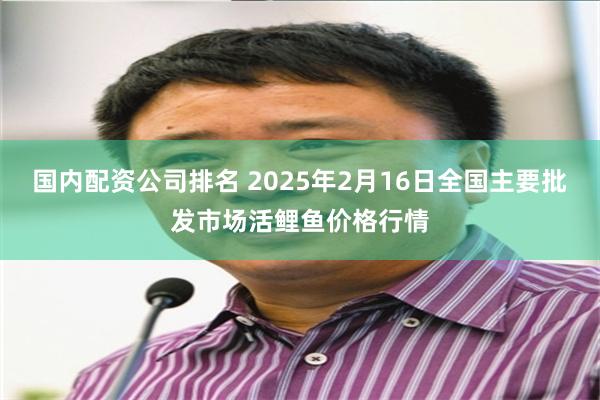 国内配资公司排名 2025年2月16日全国主要批发市场活鲤鱼价格行情