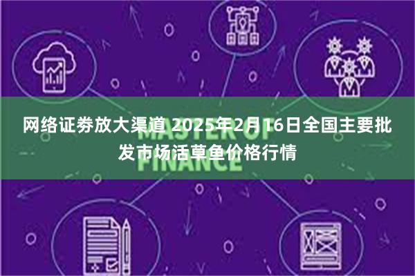 网络证劵放大渠道 2025年2月16日全国主要批发市场活草鱼价格行情