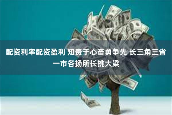 配资利率配资盈利 知责于心奋勇争先 长三角三省一市各扬所长挑大梁